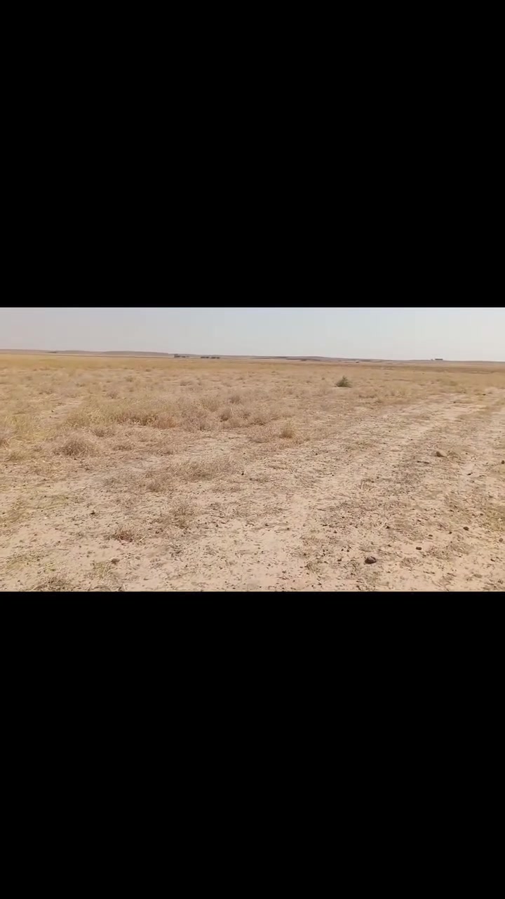السلام عليكم توجد قطعه ارض للبيع مساحه 3 دونم الموقع بريه عويجيله بصف بيت سعد محمد علي ضاهر ال  بريه واصل ماء كهرباء تبليط موبعيد عنها هاتف ***********
