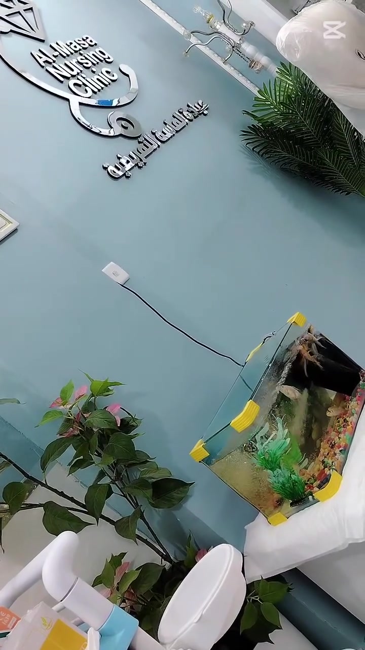 الساعة وحدة ونص بالليل… 🌙

البيت كله نايم،
وفجأة يوجعك شي…
أو ترتفع حرارتك،
أو تحتاج إبرة، كانيولا، تبديل جرح، قياس ضغط أو سكر…

وتگول:
«هسه وين أروح؟»

لا تنتظر للصبح.
إحنا موجودين. 💎

🩺 عيادة الماسة التمريضية
مستمرين بخدمتكم لحد الساعة ٢ بالليل.

📍 بغداد – گميرة – شارع جامع أبو الزهراء
📞 ***********

لأن المرض ما يختار وقت… وإحنا هم ما نخليكم تنتظرون للصبح. 💙
