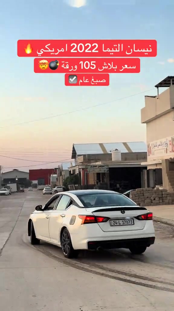 التيما ٢٠٢٢ • امريكي • صبغ عام