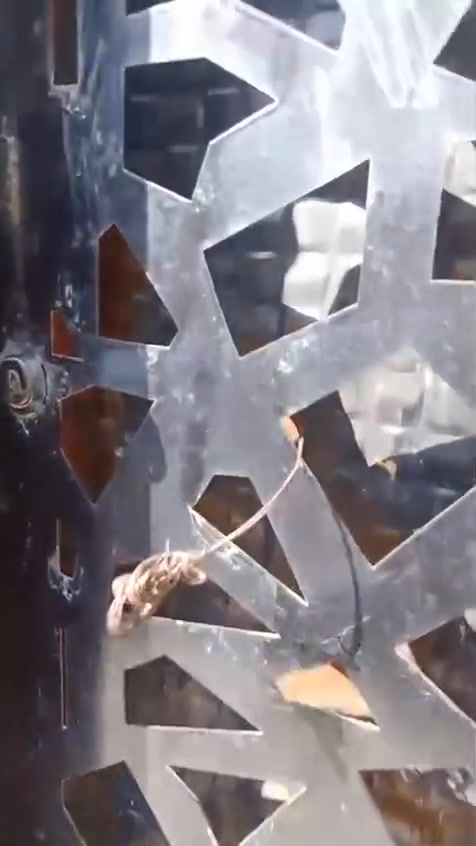 بيت للبيع بالمفرق قرب مركز الوحدة  كاع خليل الصالح .سابع بيت عن الشارع السايدين بناء حديث مساحة 135 متر .مبني استقبال ومطبخ وصالة وغرفة نوم ومجموعة صحيات ومنور طابق واحد مع البيتونة موضح بالفيديو الاستفسار أكثر

اتصال .  ***********

واتساب .***********

