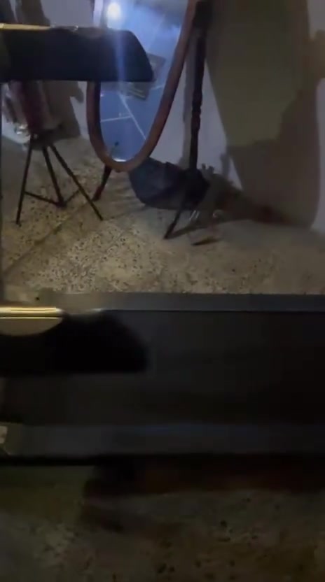 للبيع جهاز مشي كهربائي House Gym بحالة ممتازة جدًا،
الجهاز مستخدم مرتين فقط وبعدها انترك وما صار عليه استخدام.

الجهاز مناسب للبيت والرياضة اليومية، وتصميمه قوي ومرتب، وحالته حسب الصور نظيفة وشبه جديدة.
💰 السعر: 300 ألف دينار فقط
📍 الجهاز موجود في بغداد
📞  ***********
البيع بسبب عدم الاستخدام، مو بسبب عطل.
اللي يريد جهاز نظيف وشبه جديد ويوفر على نفسه سعر الجديد، يتفضل يتصل.
