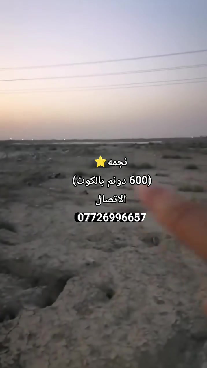 *للبيع: 600 دونم طابو زراعي سند 25 في الكوت*

*الموقع:* على الحولي الجديد مباشرة، موقع استراتيجي ممتاز
*الميزات:*
- واجهة 500 متر على الشارع العام
- يمها المجمعات السكنية
- طابو زراعي  سند 25
- صالحة للاستثمار السكني، التجاري، الزراعي، والمشاريع
- مباشر مع صاحب الأرض بدون وسيط

السعر: مناسب جداً (للمفاوضة للجادين)

الاستفسار والتواصل المباشر:
الاأستاذ عماد الجبوري
***********
