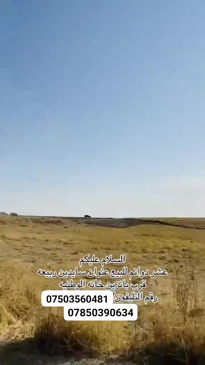 سايدين ربيعه • ١٠م • أرض