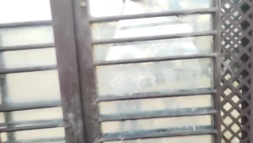 اسلام عليكم بيت للبيع في حي الحكيم عبور المجسر الحولي يبعد عن شارع ٣٠٠ متر مساحه البيت ٢٠٠ متر مبني غرفه وصاله ومطبخ واستقبال وصحيات داخليه وخارجيه ارضيه كاشي والجدرات سيراميك السكف سندويج بناء بلوك سعر المطلوب ٢٥ وقابل للتفاوض ***********
