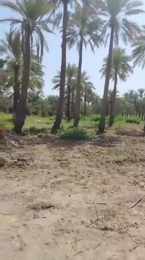 دونم ونص • شارع سيد علي ٣ • سعر مناسب