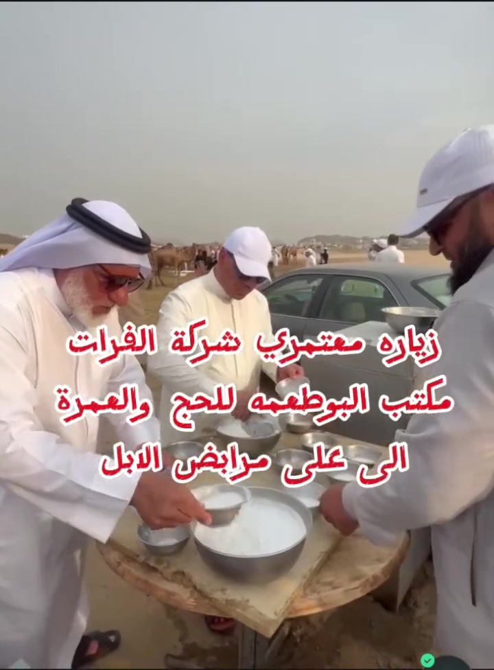 🐪🌴 رحلة صحراوية استثنائية
#شركة الفرات #مكتب البوطعمه للحج والعمرة  في  رحلة مميزة إلى مرابض الإبل في مكة المكرمة؛ حيث جمال الصحراء، وروعة المشهد، ومتعة التأمل في بديع خلق الله سبحانه وتعالى.
🐪 مشاهدة الإبل في مراعيها
🥛 تجربة وشرب حليب الإبل
🌿 أجواء صحراوية ممتعة
🤲 لحظات للتأمل في عظمة الخالق سبحانه وتعالى
رحلة تجمع بين المتعة، والتجربة، والتأمل… وذكريات لا تُنسى.
📞 للحجز والاستفسار:
الحاج مهدي: ***********
الحاج عطية: ***********
#شركة الفرات#مكتب البوطعمه للحج والعمرة 
خدمتكم شرف… وثقتكم مسؤولية
