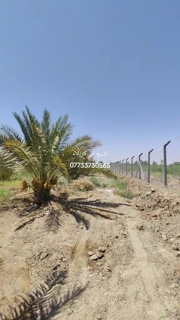 دونمين للبيع في كربلاء شارع بغداد شارع جماليه قرب المجزره   تفاصيل كامله داخل الفيديو تفاصيل اكثر  *********** *********** ***********  يوجد واتساب
