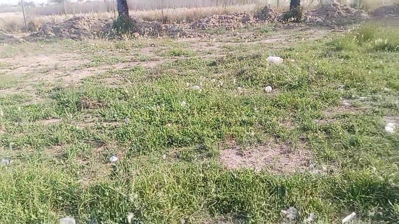 السلام عليكم
قطعة لبيع 
مساحة 200 متر طابو زراعي سند 25 
الموقع شارع المعاره قرب السكلات 
موقع مميز جدن جدن 
ركن على شارعين 
متوفر كافت الخدمات 
اي ستفسار 
‏‪***********‬‏ واتساب 
‏‪***********‬‏
