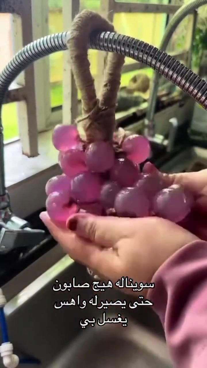 صابون عنقود العنب • هدايا • واتساب
