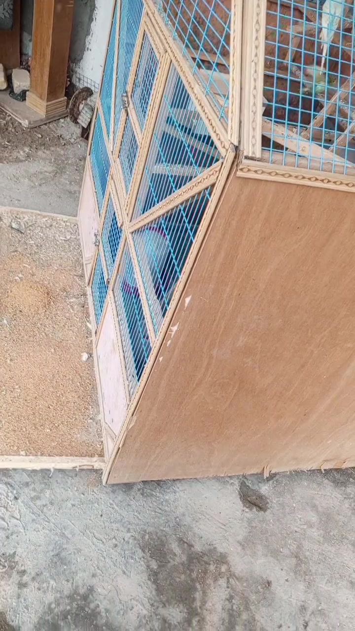 السلام عليكم قفص للبيع بيت شروخ وبيه جراره تنظيف العلف عنوان سماوه ***********
