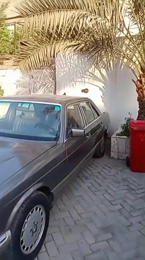 سلامه عليكم مكان بغداد مدينه الصدره. رقم ***********
