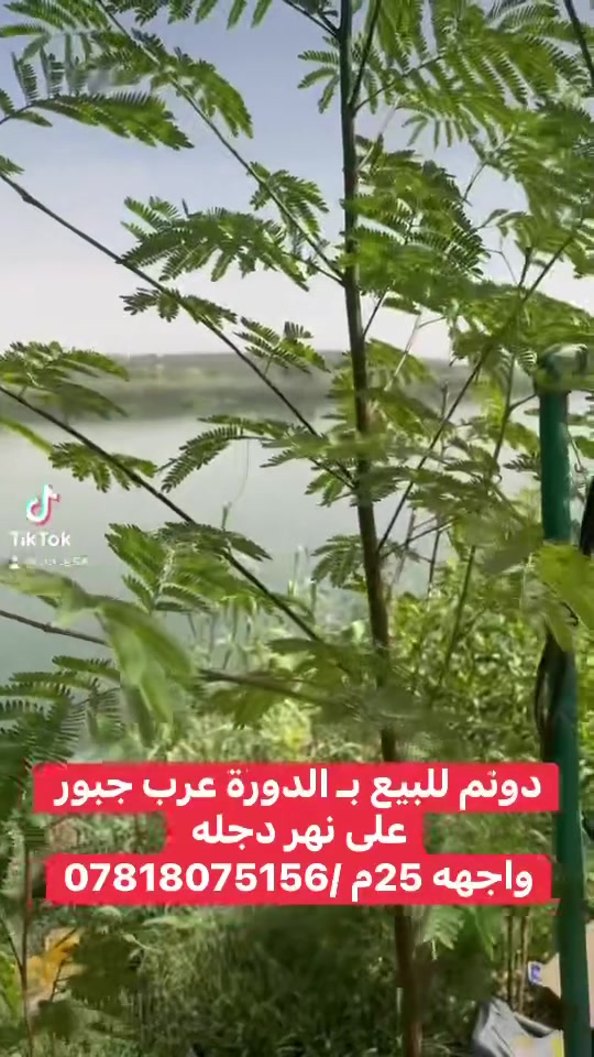 دونم للبيع بـ الدورة عرب جبور على نهر دجلة مباشر مشجر من الحمضيات والنخيل 
المساحة 2500م 
الواجهة 25م
النزال 100م 
نوع العقار طابو زراعي سند 25
المعلومات اكثر اتصل 
***********
