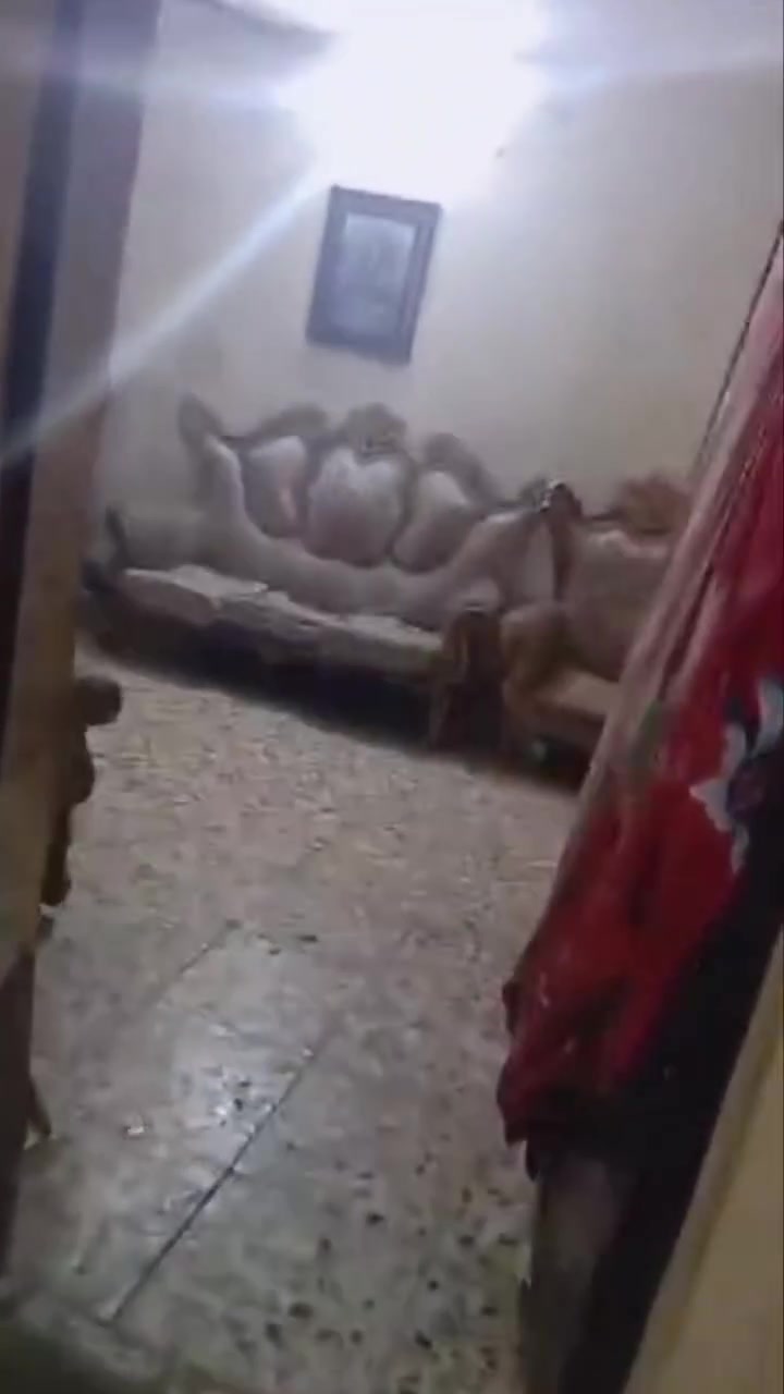 ١٠٠م • طابق واحد • شارع ابو دراج