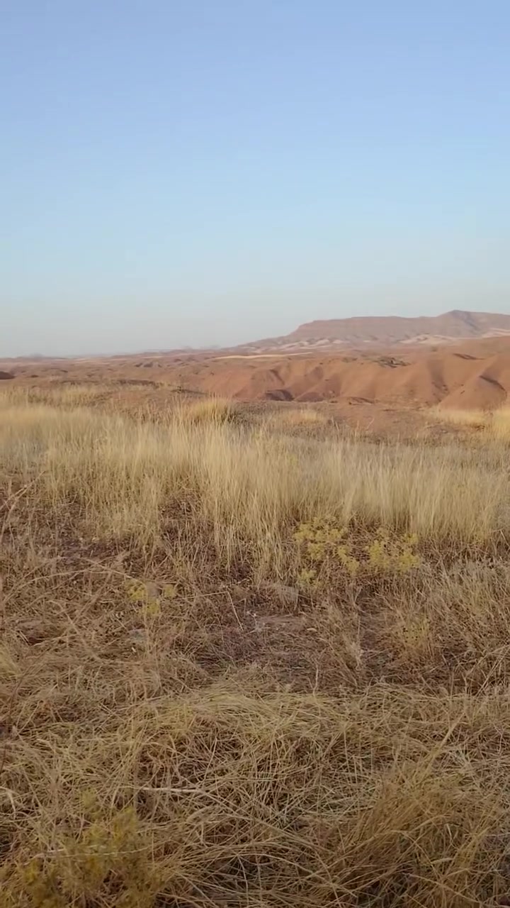 السلام عليكم مارسدس للبيع جانبو محور كير ومكينه بطه
شرط حجم 3000 بدون راعي اتكفل سرقه وعشاير وطلب رقم فحص نجف  تخم تاير جديد قبل اسبوع شاده لايت زنون 
السعر 23وبيها مجال قليل او مراوس المكان قضاء الدجيل
 
***********
*********** بي واتساب
