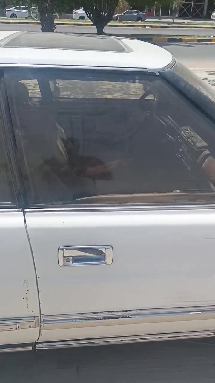 هارتوب مكينته كامشه فقط سياره مكفوله من كلشي يسره بلادي رقمه بغداد دوالي وشراي يجي خاص او يتصل عله هذ رقمي ***********سعر 25وبيها مجال
