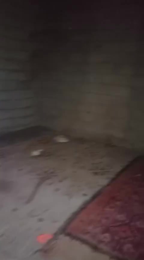 السلام عليكم بيت زراعي بل الاكاديميه 100م مربع غرفتين وصاله ومطبخ وبراني وصحيات وطارمه الصاله المطبخ والبراني سندويج جديد وعوزه لبخ وبياض وغرفه كامله مكمله بياض وسراميك وعكاده الغرفتين كامله مكمله وكهربائات كامله بيت قريب عله الشارع الرئيسي كلش سعره 14مع المجال ***********
