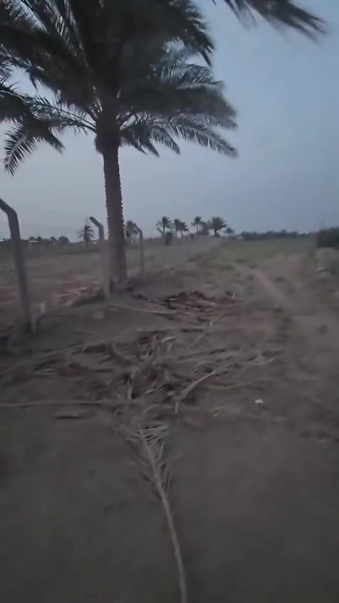 بزل حجة علي • أرض • ٢