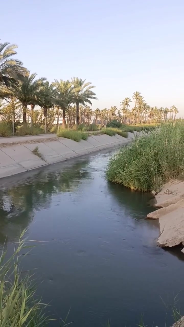 السلام عليكم ثلاث دوانم للبيع حله جذول بابل 
***********
***********
