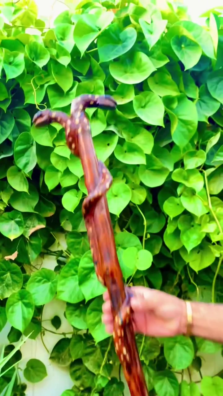 باكورة الشيوخ والوجهاء.. هيبة وأناقة لا تُضاهى 👑✨
​توفرت الآن لدى متجر حمودي أنتيكة تشكيلة ملكية فاخرة من العصي المصنوعة يدوياً بأعلى معايير الحرفية والذوق الرفيع 🪵🦅
​تصاميم متميزة وراقية: تشكيلات أنيقة بتفاصيل بارزة ولمسات فخمة تليق بمجلس الشيوخ وأصحاب المقام الرفيع ⚜️🤎.  
​خامات طبيعية فاخرة: مشغولة بعناية فائقة من أجود أنواع الأخشاب الأصلية المتينة مع تشطيبات ومعالجة راقية تبرز جمال العروق واللمعان 🌳💎.  
​ويوجد لدينا خدمة توصيل الكل العراق🇮🇶 :  الدفع عند الاستلام أو عبر الماستر كارد بكل سهولة 💳📦.
​✨ للإستفسار والحجز، يرجى مراسلة الصفحة أو الاتصال على الرقم: *********** 📞💬🛍️
 #

