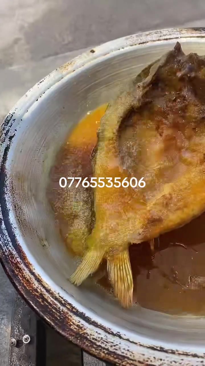 صباح الورد والفل على رواد مطعم غسان ابو الجري. يابه اليوم الوضع لا يطاق أبدا أبدا الكفيات كلش حلوات 3 سمكات ب 20 الف فقط وتدللون العنوان بغداد حي الخضراء شارع البصره قرب التسجيل العقاري رقم الحجز *********** ابو غسان

