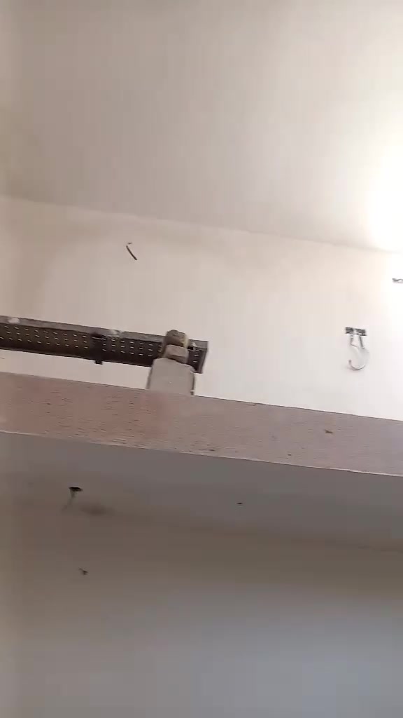 السلام عليكم شباب خلفه حاليا متفرغ جص سمنت بورگ نثر الشغل درجه اولى كدام عيونگم حاليا مروان ألباخ ***********
