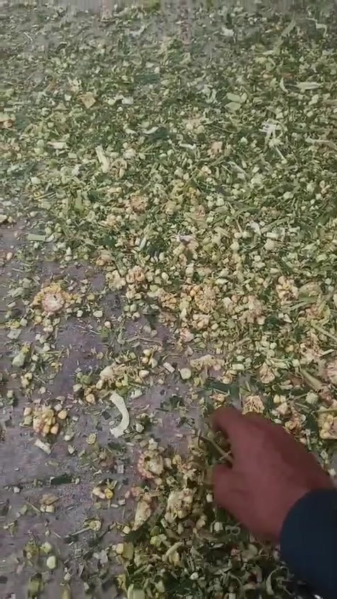 سيلاج • ناصريه • توصيل وسط وجنوب