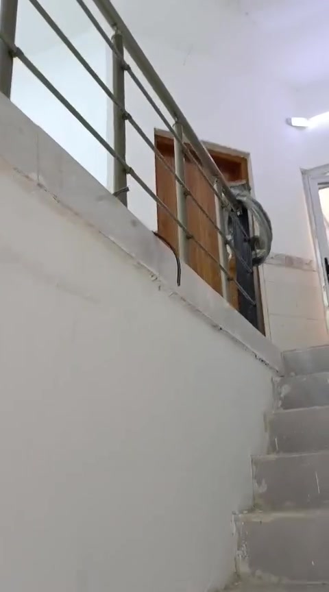 شقه للايجار 
شارع المصرف غرفتان ومطبخ وصالة وصحيات ‏‪***********‬‏
