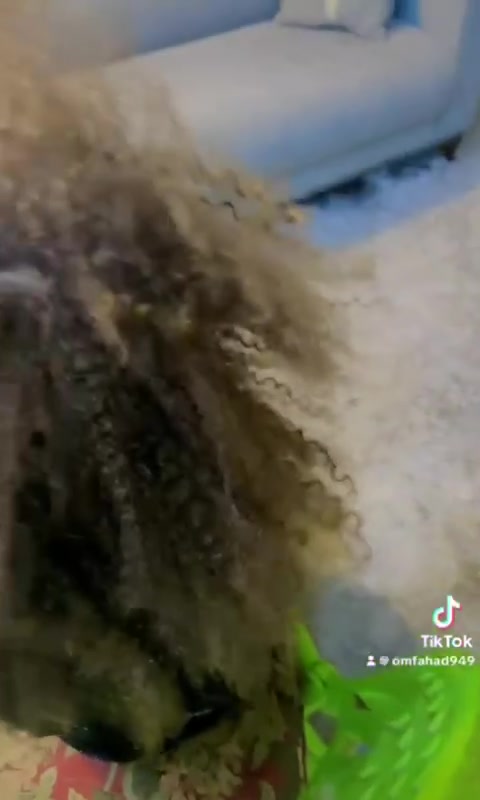 تسريح برازيلي • شعر أفريقي • 120مل