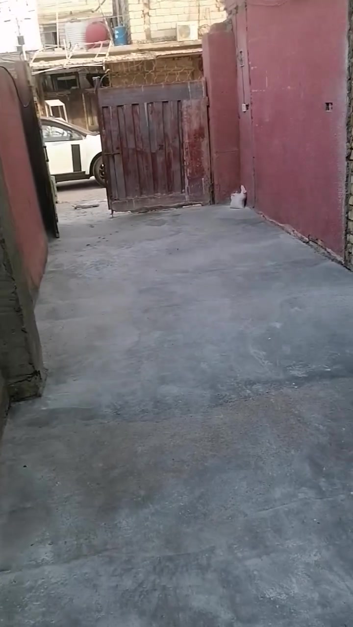 بيت للبيع في حي العامل سوق الوسط جهة اليرموك  مطلوب مبادرة يعني تنطي ٨٥ مليون والباقي ٨٨ مليون مبادرة في الشهر ٤٢٥ الف جيب كفيلك وحول البيت بأسمك المساحة ٢٠٠متر يحتوي ط١. مطبخ  و استقبال و وصالة ومنور عدد ٢ وغرفتين نوم
ط٢. غرفة نوم +  غرفة نوم مع سويت  + صحيات وسطحين 
البيت فارغ المراجعة مع مكتب الميراج بأدارة الاستاذ ابو ليث التميمي
***********
