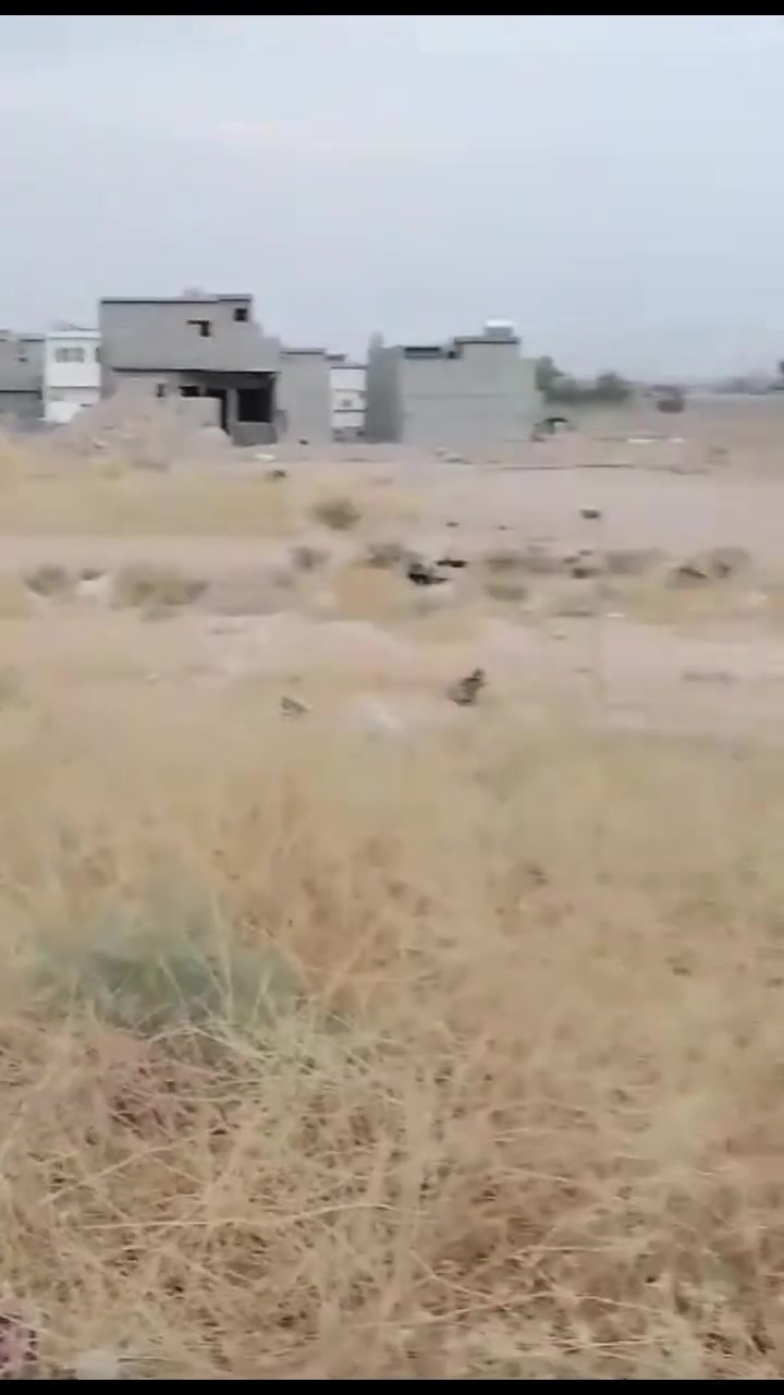 سلام عليكم قطعة ارض للبيع ركن ١٥٠متر مربع في حي البدر 
للاتصال /***********
