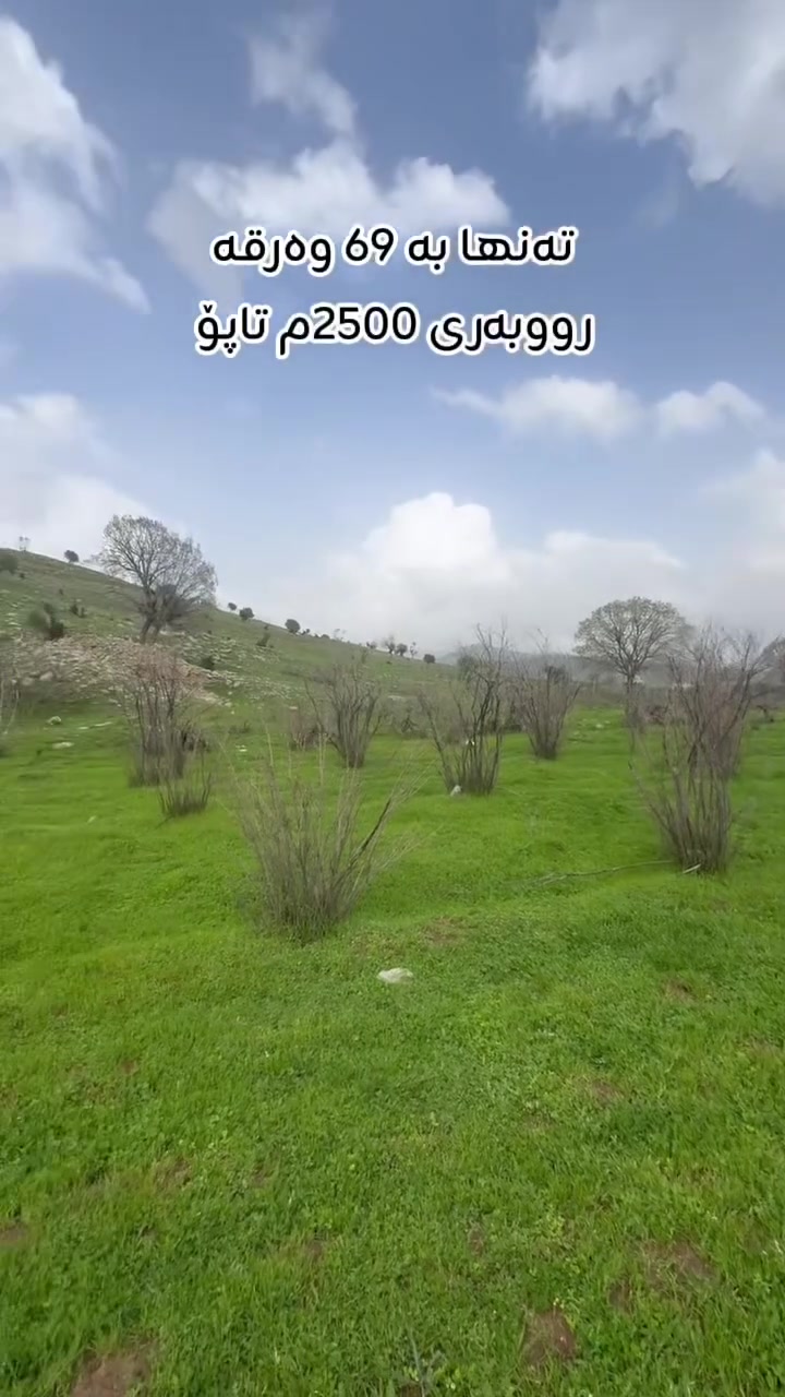 أرض • ٢٥٠٠م