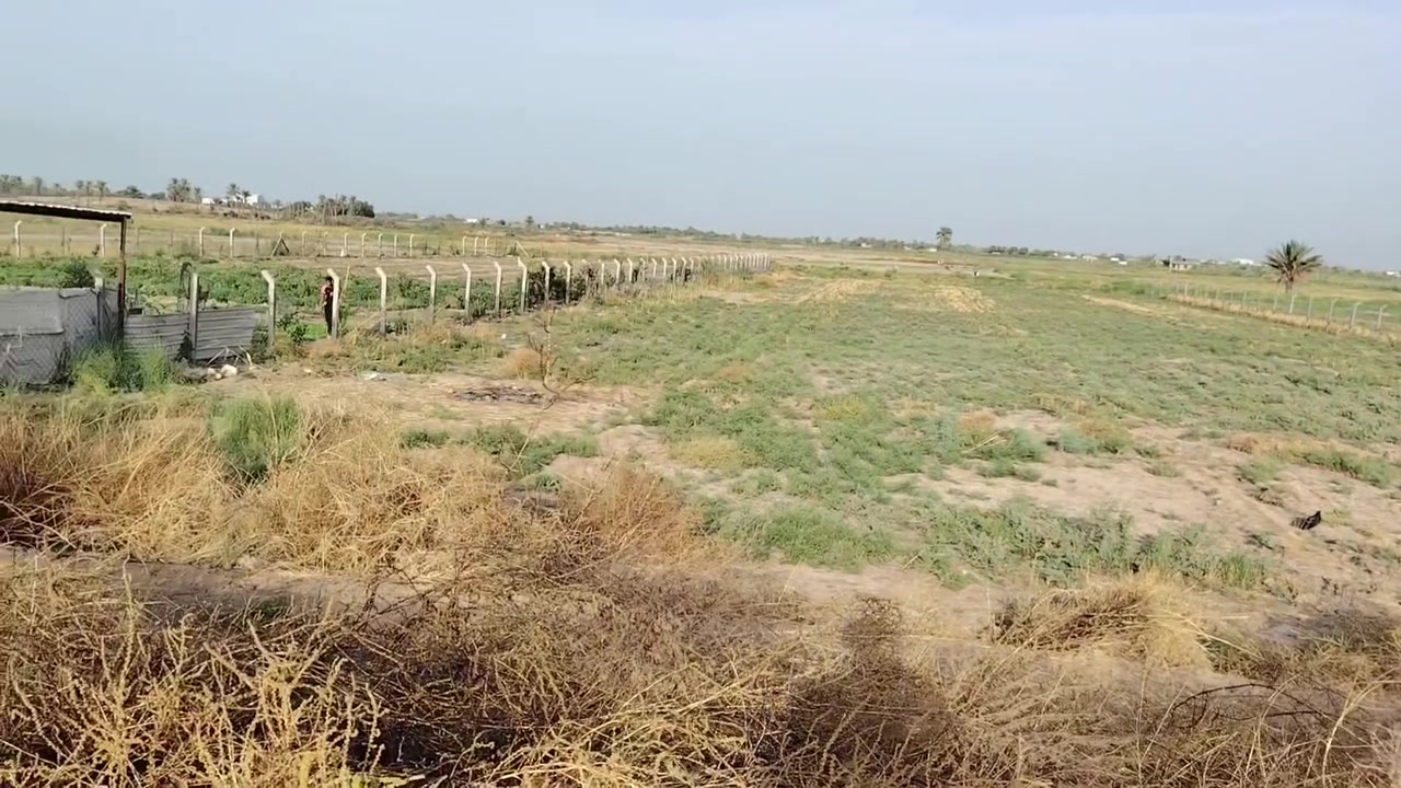الجفجافه • ٥٠٠٠م • سند ٢٥