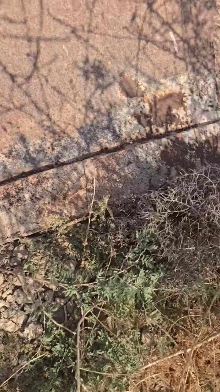 سلام عليكم غراض البيع العنوان بغداد
***********
