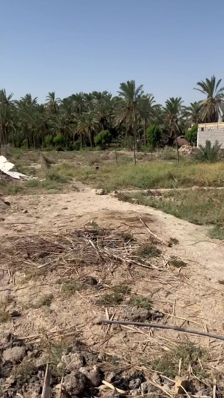 سلام عليكم بيت أو قطعه  للبيع مساحه 640عنوان زديناويه خلف مدرسة الواثق للاستفسار اتصال على هذا الرقم ***********
