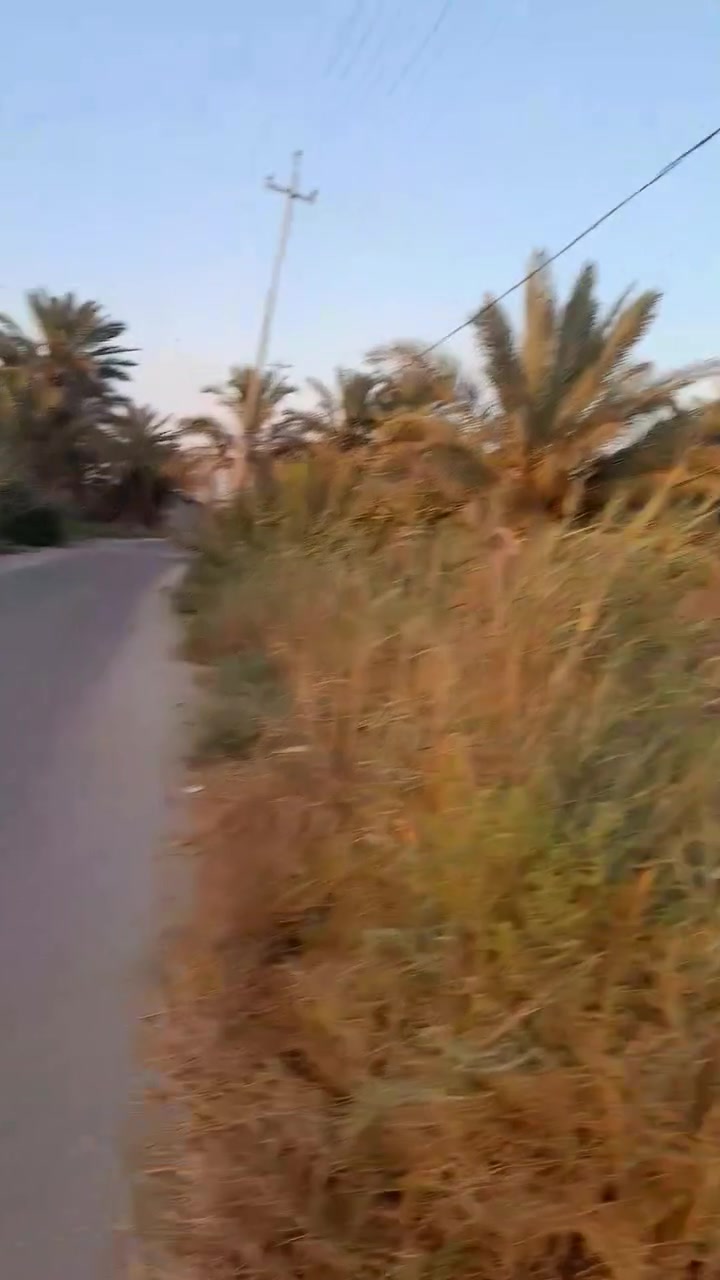 بستان البيع زراعي المساحه دونم وربع بي ٨٠ المكان اسديناويه يم مدرسه التعاون كاف الخدمات موجوده السعر 85 مليون الشراي يتصل على الرقم ***********
