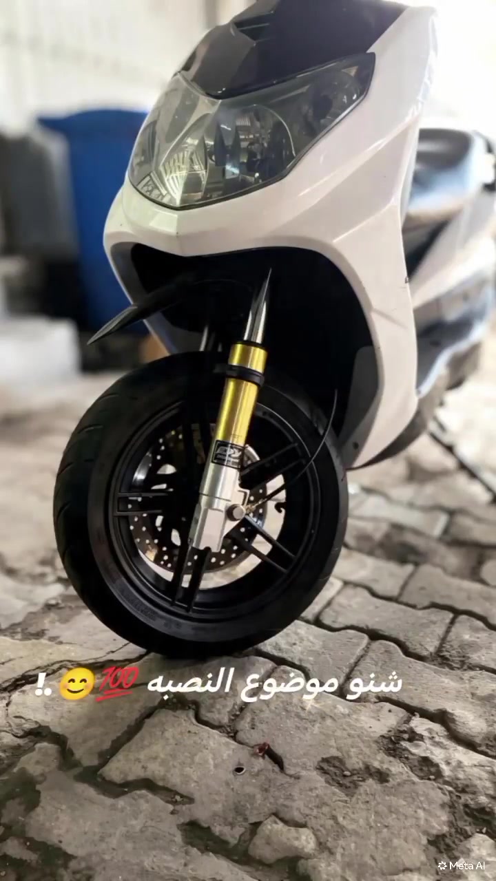 فحل • ويل نجمه • ذهبي