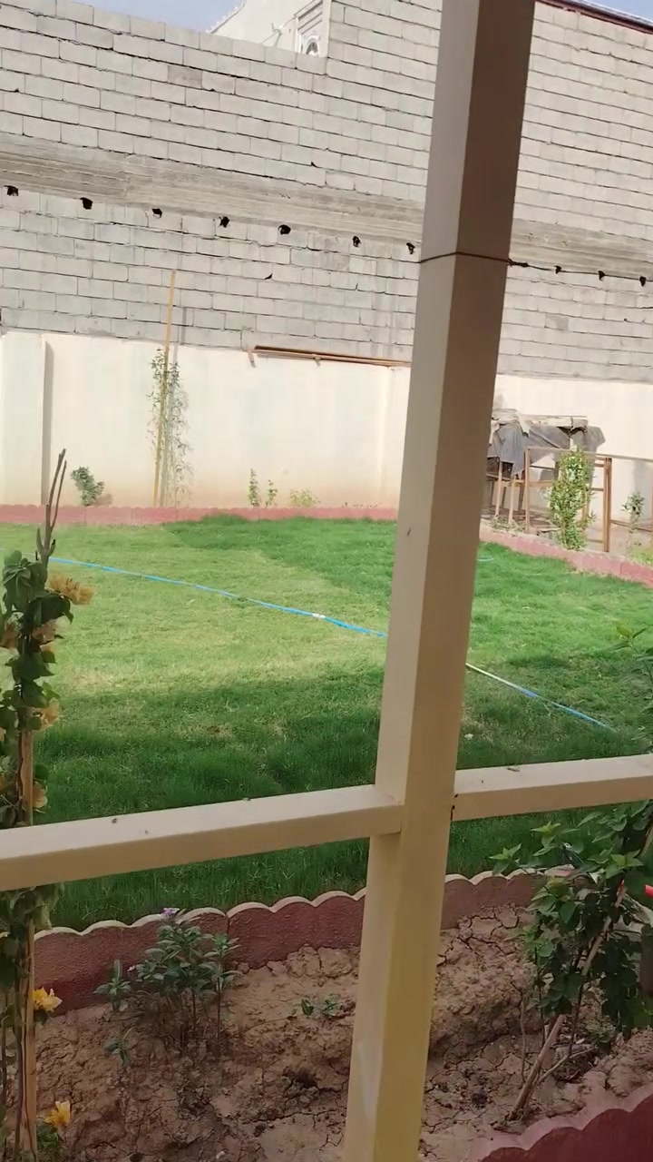 طابو زراعي • سند ٢٥ • ٣٠٠م