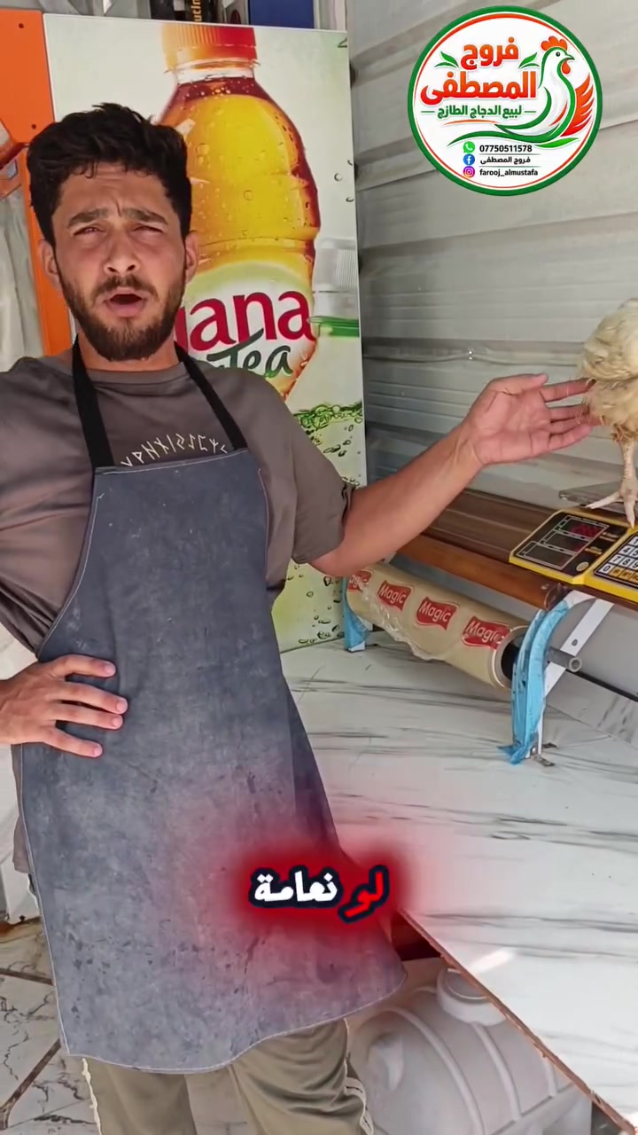 🐔🔥 فروج المصطفى.. الطعم اللي يجمع العائلة!
فروج طازج وشهي، جاهز حتى يكمّل سفرتكم بأطيب مذاق 😋🍗
تابعوا الفيديو وشوفوا الجودة بأنفسكم ❤️

📍 العنوان: النهروان، الشارع العام قرب شارع 60
📞 للطلب والاستفسار: ***********
