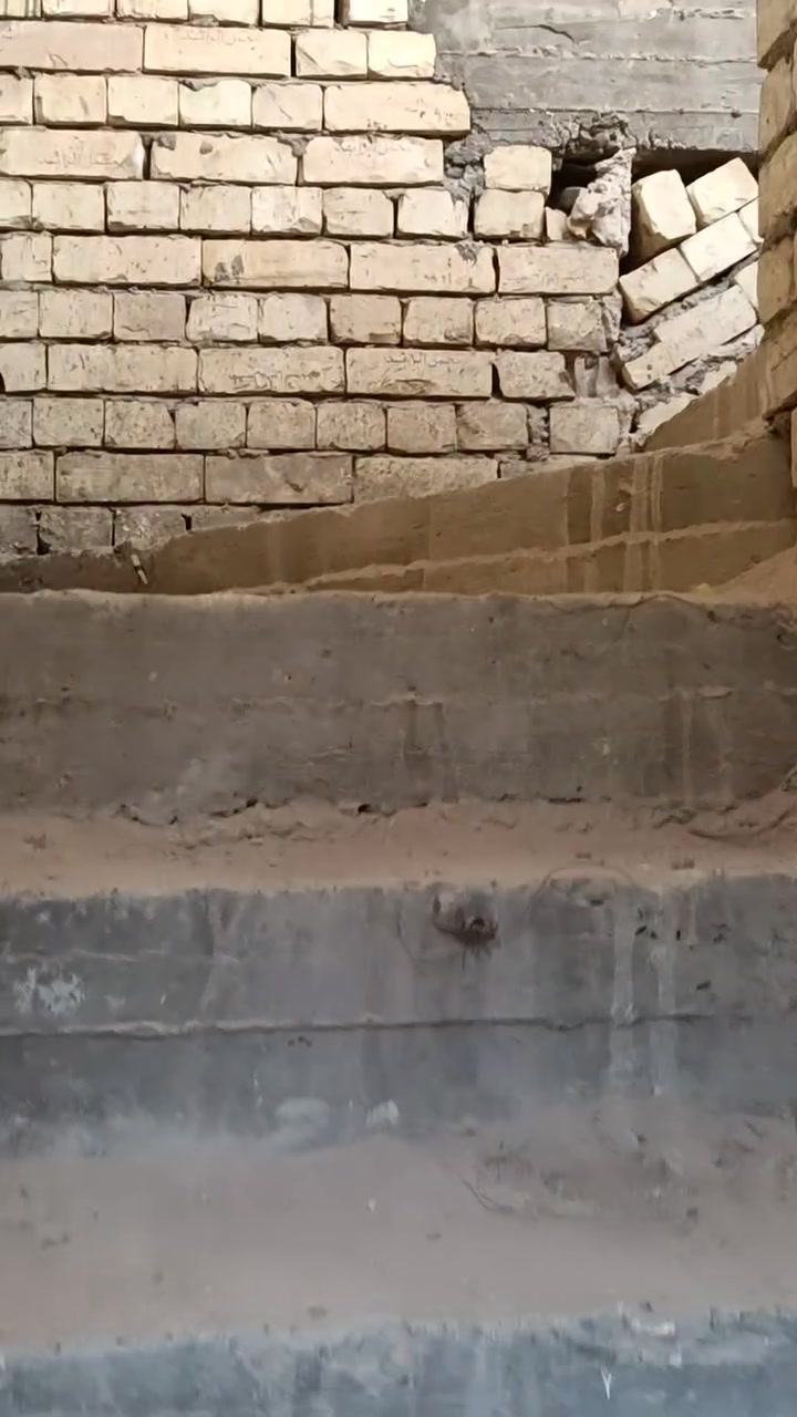 نصف قطعه منفصله  بناء 2026 ماء كهرباء بياض باقي فقط الكاشي والسيراميك للحمامات واجها  
قطاع 57 شارع العام اول بدايه الفرع 
تحتوي على مدخلين منفصل  الاول استقبال ومطبخ وغرفه نوم وخدمات
الطابق الاول وثاني استقبال ومطبخ وغرفه نوم والثاني غرفه وبيتونه وحمام وسطح 
‏‪***********‬‏
