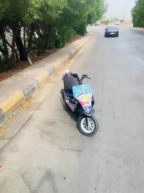ماكس عدله • معدل • شلعة