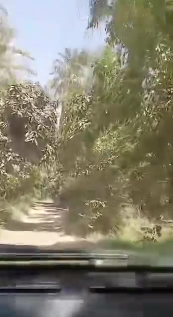 بستان بعرب جبور دونمين الة ربع واصلة مي سقي محولة براس سدة مخصصة للبستان بس تسحب بظهر شاليهات يحتوي على نخيل وحمضيات سند ٢٥ احولك باسمك

للاستفسار اكثر مراسله خاص او الاتصال ***********
