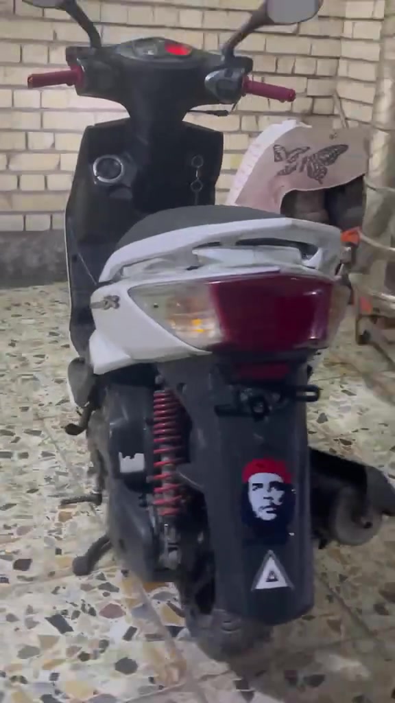 سكنس فحل • مامفتوحة • نضيفة