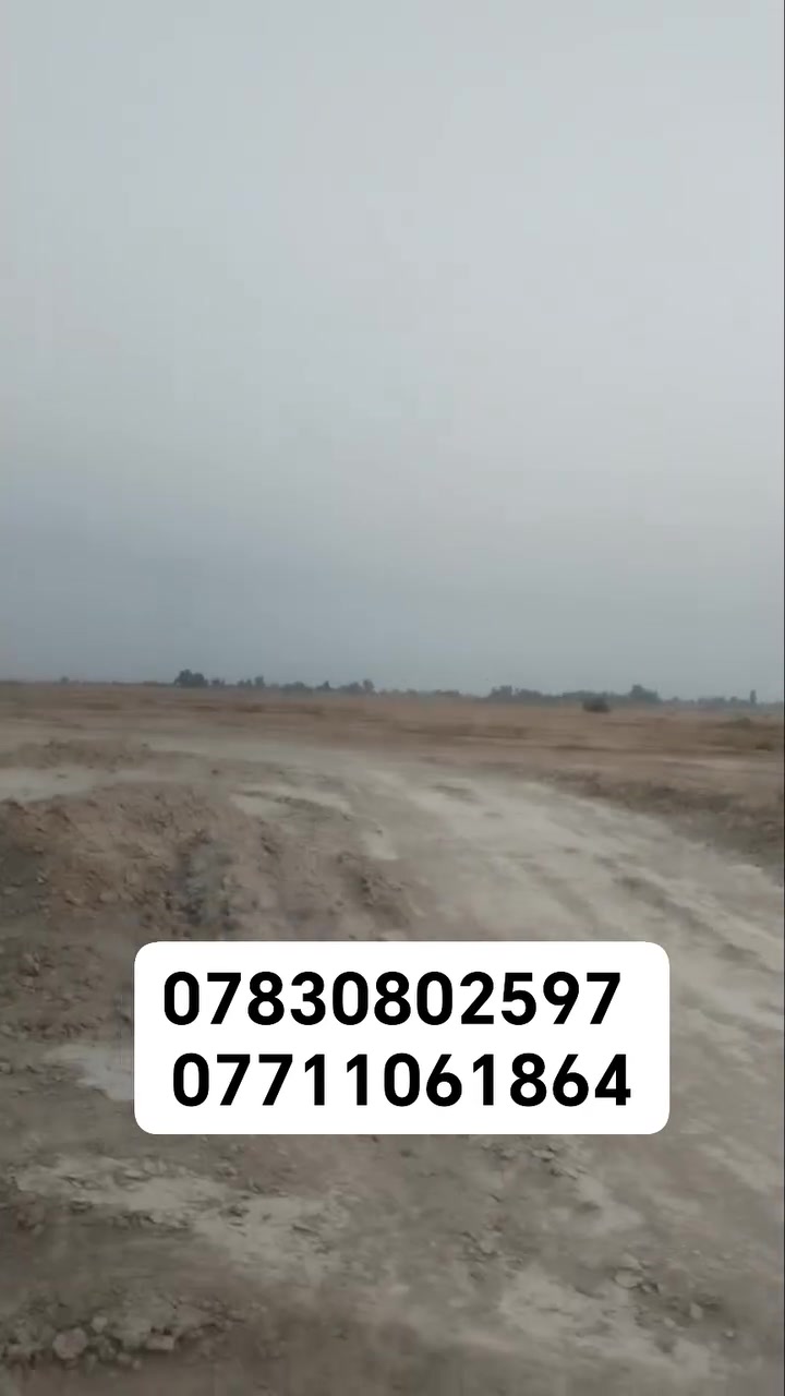 بابل الحله • ١٠٠ دونم • طابو صرف سند منفرد