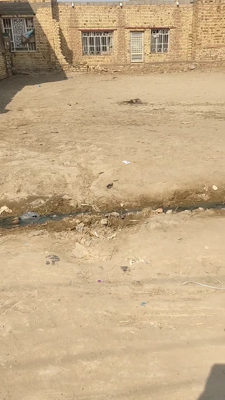 حي الجمعيه • ٣١٠م • زراعي