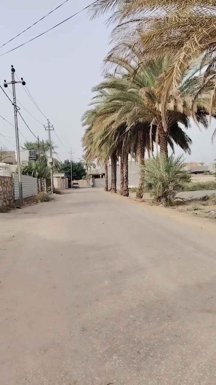 بابل نخيله • ٢٢٠م • سند ٢٥