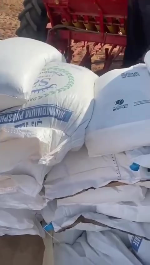 :
🌾 بذور حنطة جيل أول – بنت المغلف – إسبانية 🇪🇸 🌾

بذور حنطة إسبانية، جيل أول، بنت المغلف، مغلفة وجاهزة للزراعة.

📦 وزن الكيس: 25 كغم

🌱 بذور مخصصة للزراعة

📍 متوفرة للبيع في النجف

📞 للاستفسار عن السعر والكمية راسلنا خاص

*********** واتساب 

للمزارعين وأصحاب الأراضي… بذور للموسم الجديد �

ععلما البذور الوفيه
