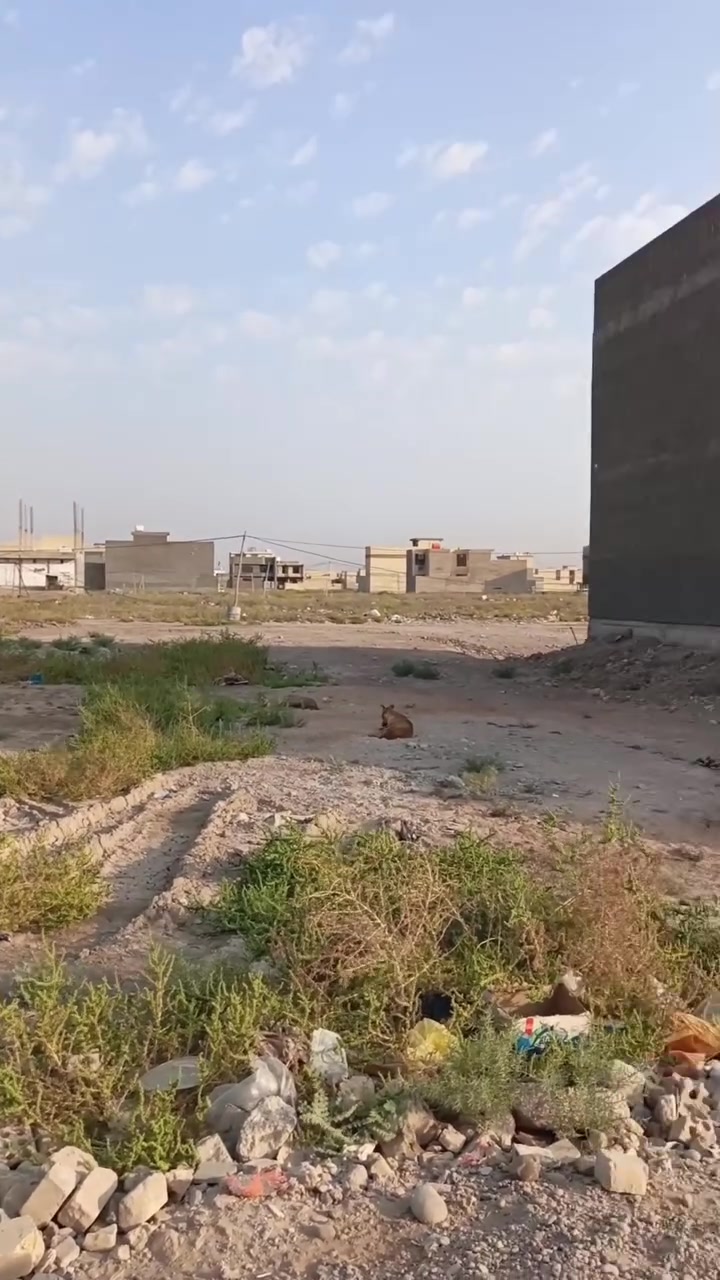السلام عليكم قطعه للبيع صابيات المراتب مربع ثالث ب ٩٠٠٠ مساحة ١٠٠متر الواجهة ٥ ونزال ٢٠ السعر خاص واتساب ***********
