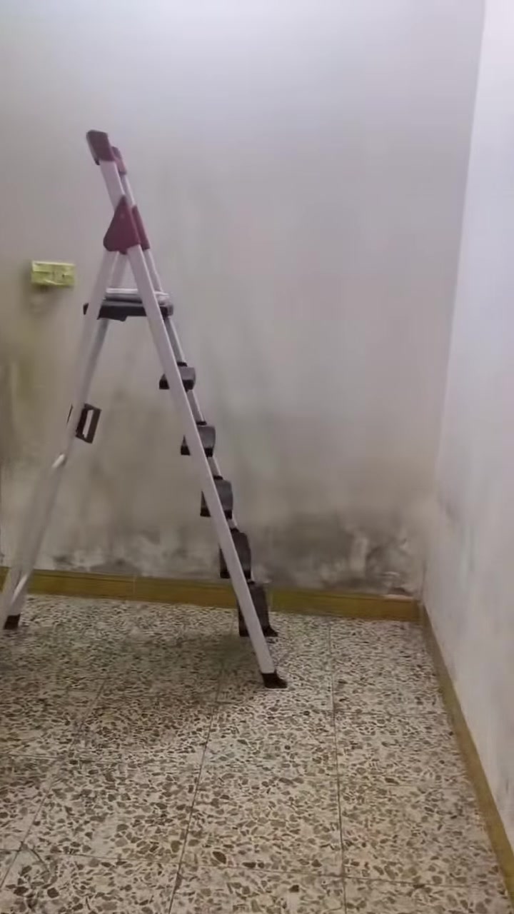سلام عليكم 
قبل العمل وبعد العمل  صبغ درجه اولى +ضمان كربلاء المقدسة رقم لتواصل./ *********** /واتساب موجود اسعار مناسبه
