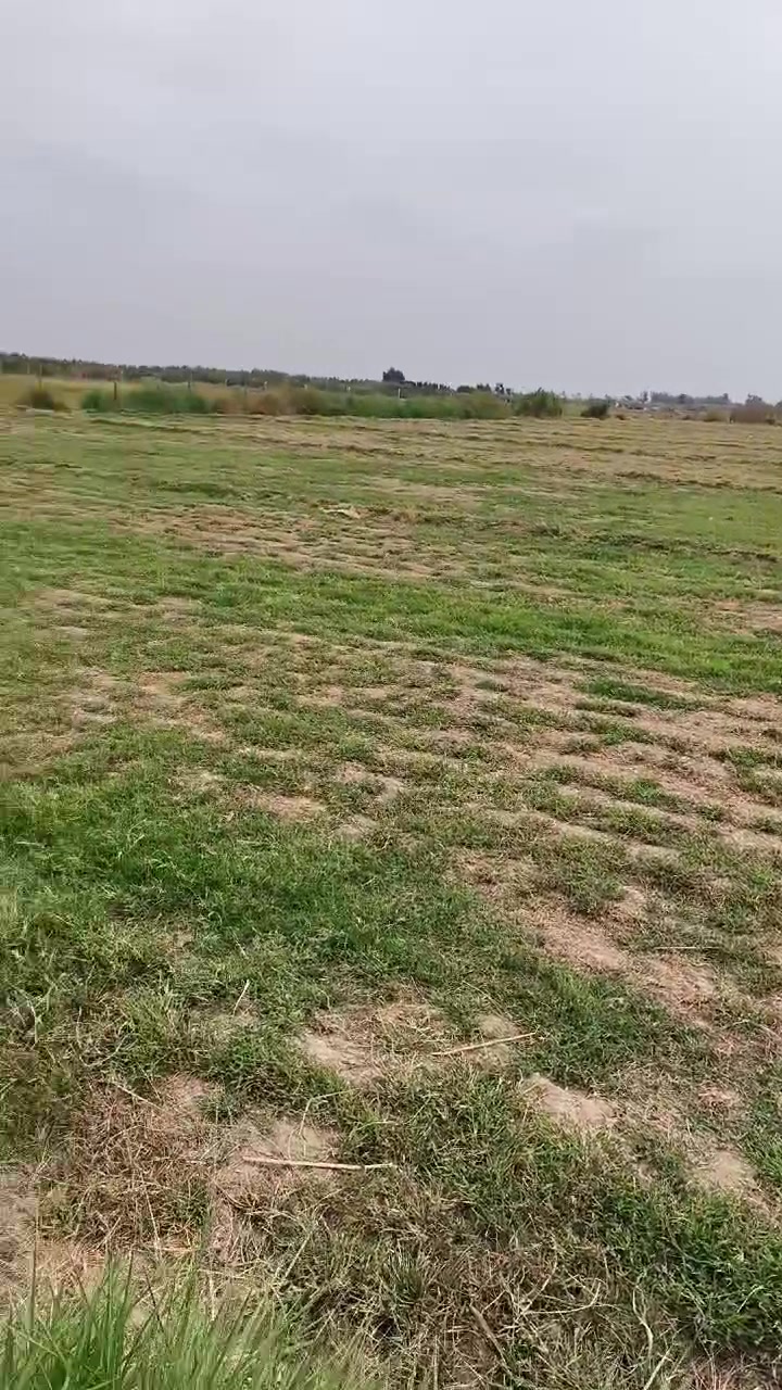 بغداد • أرض • للبيع