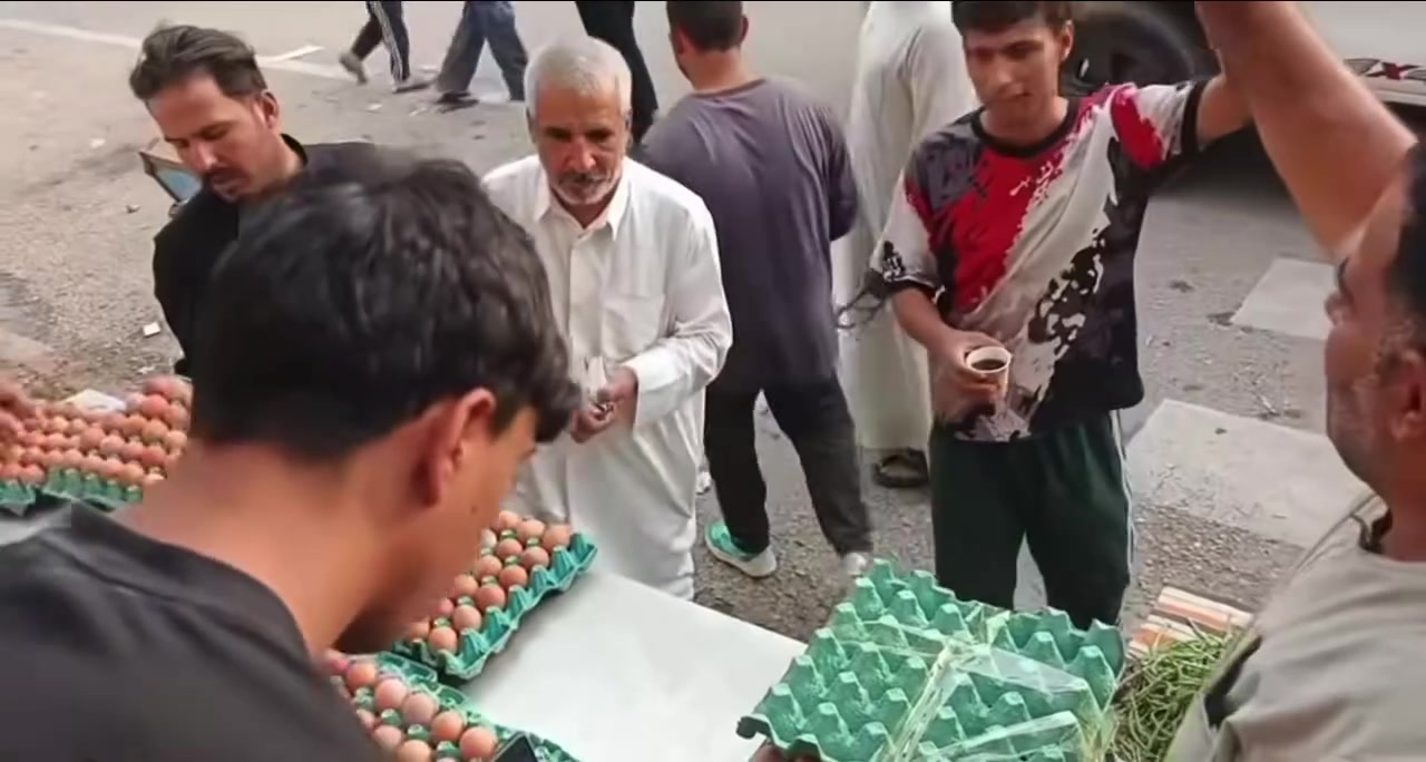 قضاء الفجر • بيض دجاج • ثلاث طبقات